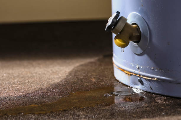 Best Sewage cleanup and water damage restoration  in Pierson, FL