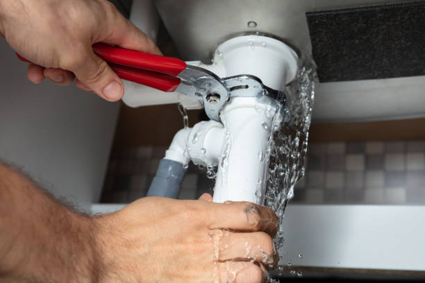 Best Professional water damage repair  in Pierson, FL