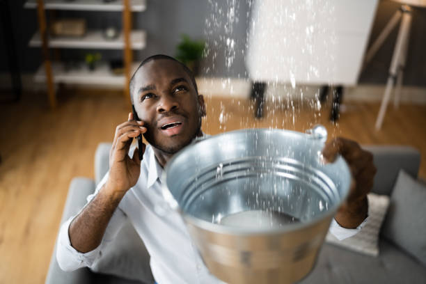 Best Professional water damage repair  in Pierson, FL