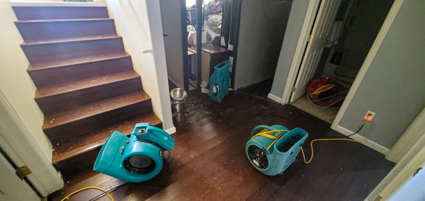 Best Mold removal after water damage  in Pierson, FL