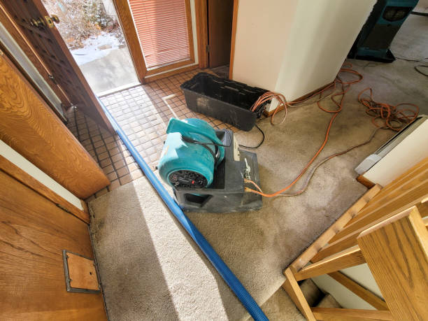 Best Local water damage restoration  in Pierson, FL