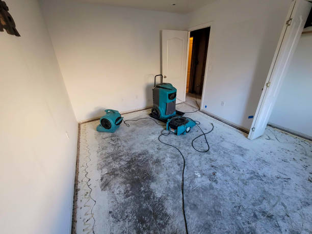 Best Carpet water damage restoration  in Pierson, FL