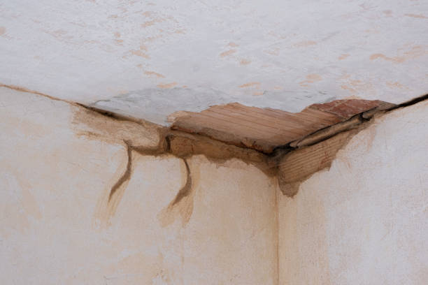 Best Ceiling water damage repair  in Pierson, FL