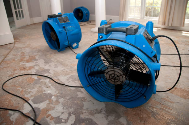 Best Water damage cleanup near me  in Pierson, FL