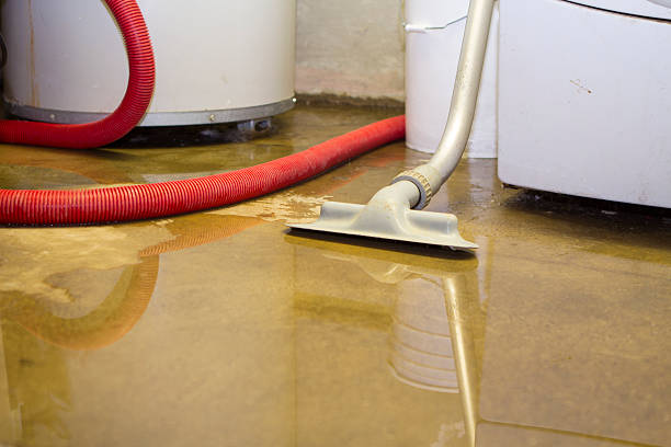 Best Professional water damage repair  in Pierson, FL