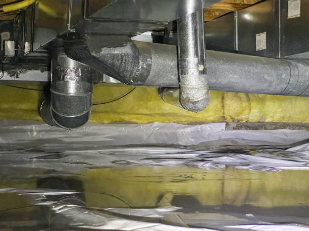 Best Basement water damage restoration  in Pierson, FL