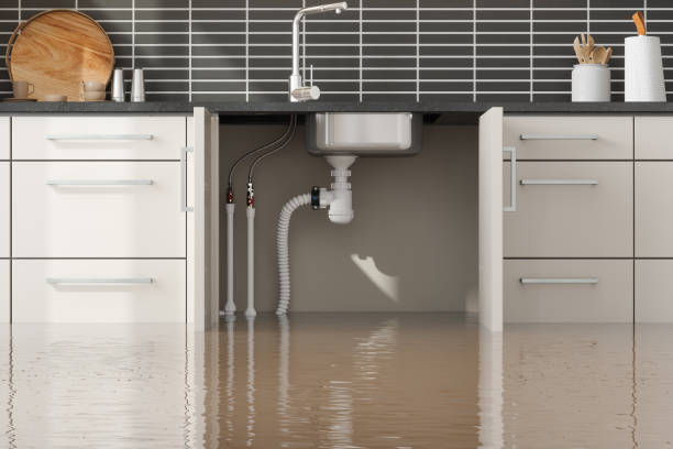 Best Sewage cleanup and water damage restoration  in Pierson, FL