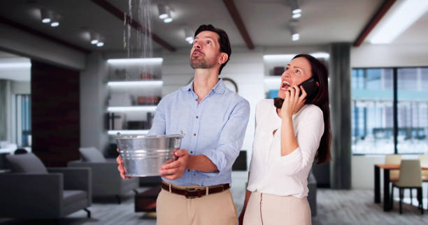 Best Commercial water damage restoration  in Pierson, FL